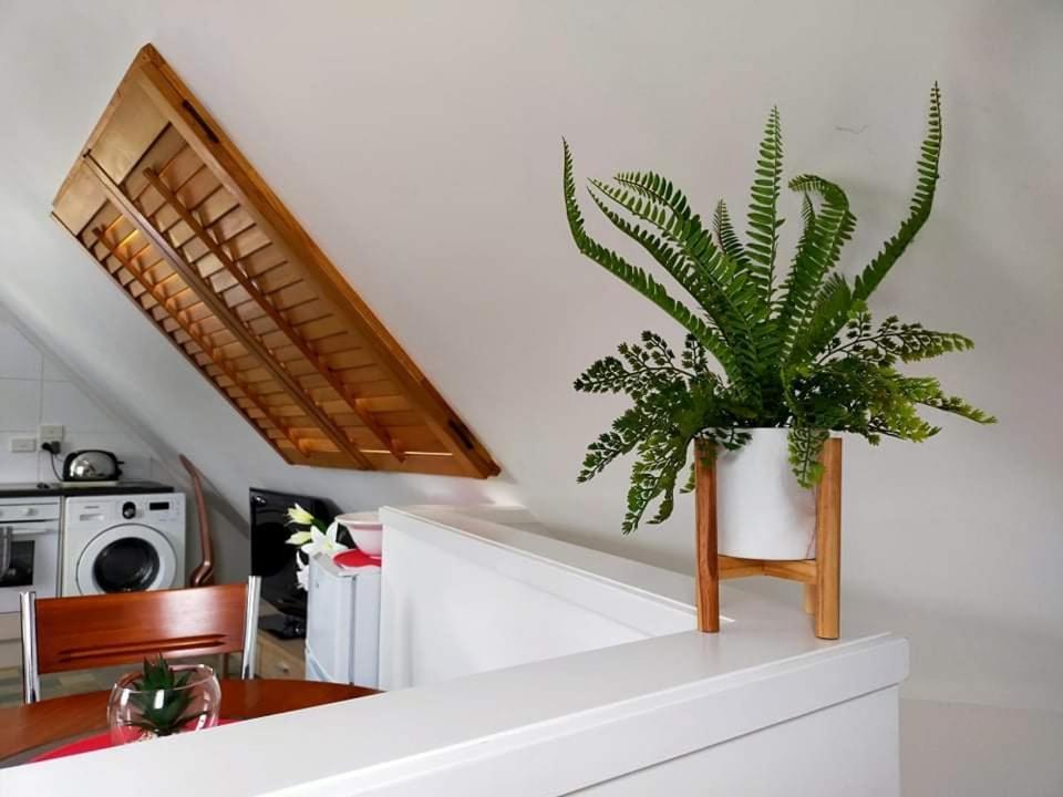 Studio On Golders - Two Minutes To The Lake And Quick Drive To Town! Apartment Таупо Екстериор снимка